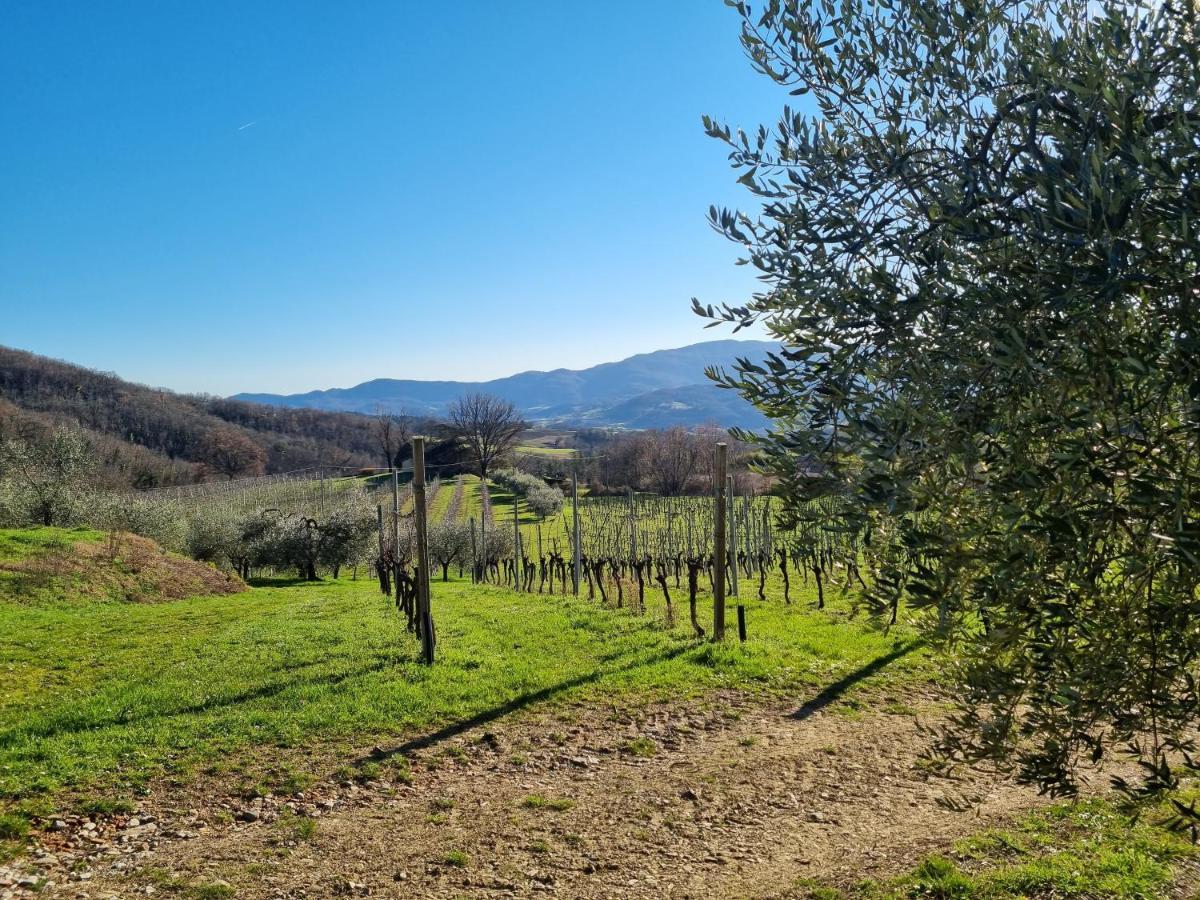 Walkandrace Sant'Agata  Exterior foto